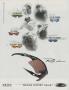 Page: - 52 | Golf Digest