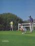 Page: - 253 | Golf Digest
