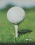 Page: - 15 | Golf Digest