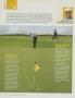 Page: - 180 | Golf Digest