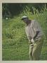 Page: - 18 | Golf Digest