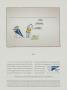 Page: - 57 | Golf Digest
