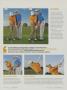 Page: - 95 | Golf Digest