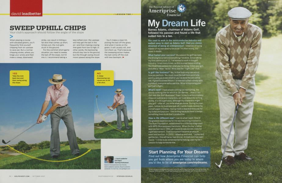 SWEEP UPHILL CHIPS