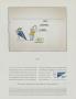 Page: - 11 | Golf Digest
