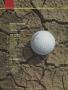 Page: - 14 | Golf Digest