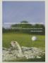 Page: - 184h | Golf Digest