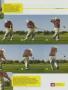 Page: - 29 | Golf Digest