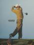 Page: - 116 | Golf Digest