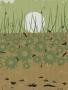 Page: - 209 | Golf Digest