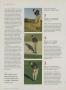 Page: - 186 | Golf Digest