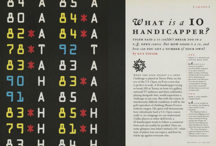 WHAT is a IO HANDICAPPER?