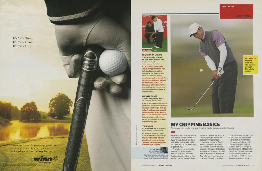 MY CHIPPING BASICS