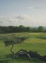 Page: - 129 | Golf Digest