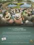 Page: - 24 | Golf Digest