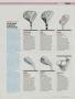 Page: - 141 | Golf Digest