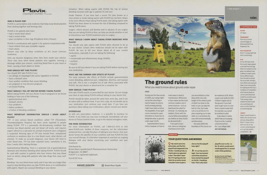 The ground rules