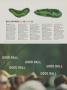 Page: - 146aae | Golf Digest