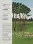 Page: - 146an | Golf Digest