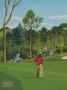 Page: - 146ar | Golf Digest