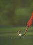 Page: - 76 | Golf Digest