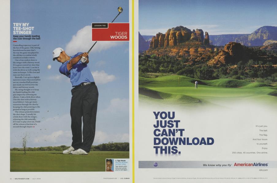 TRY MY TEE-SHOT STINGER