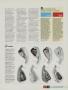 Page: - 77 | Golf Digest