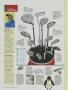 Page: - 88 | Golf Digest