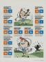 Page: - 105 | Golf Digest