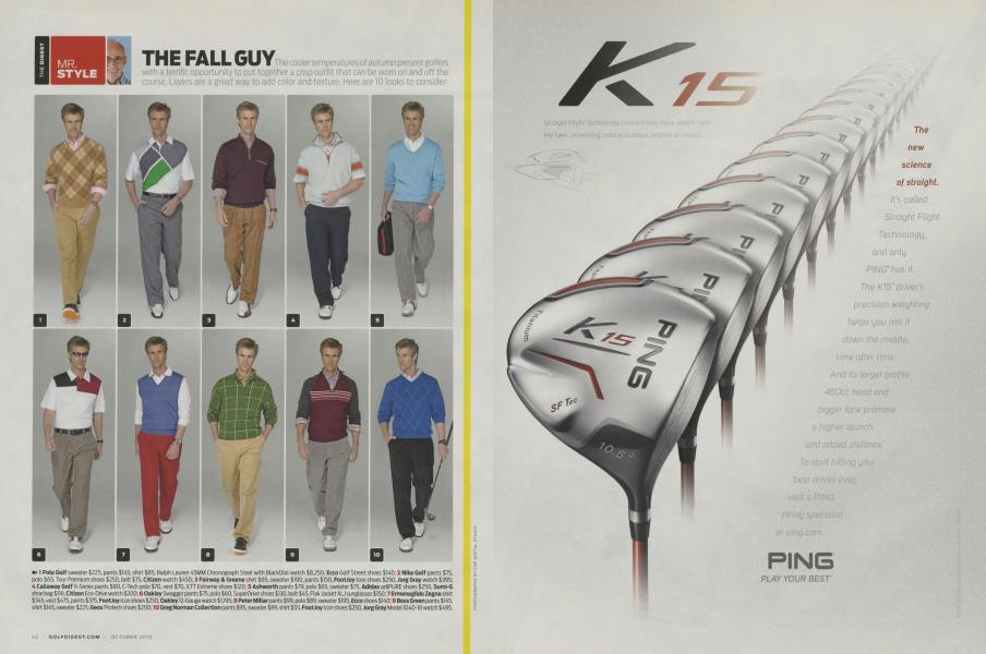 THE FALL GUY