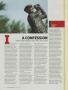 Page: - 142 | Golf Digest
