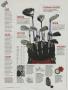 Page: - 88 | Golf Digest