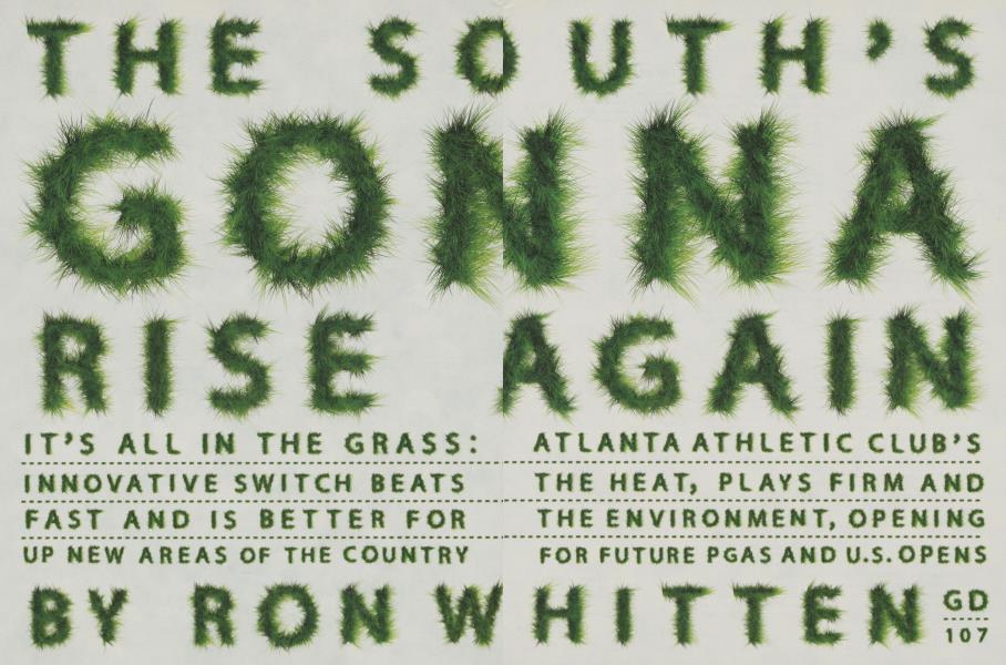 THE SOUTH'S GONNA RISE AGAIN