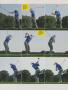 Page: - 19 | Golf Digest