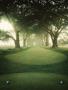 Page: - 84 | Golf Digest