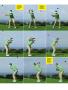 Page: - 31 | Golf Digest
