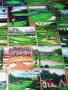 Page: - 114 | Golf Digest