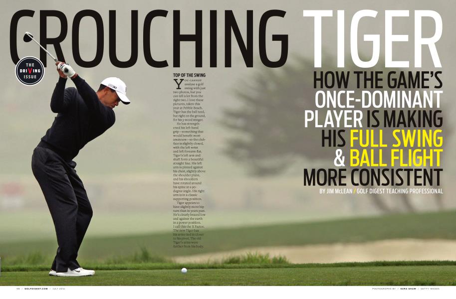 CROUCHING TIGER