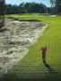 Page: - 82 | Golf Digest