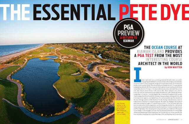 THE ESSENTIAL PETE DYE