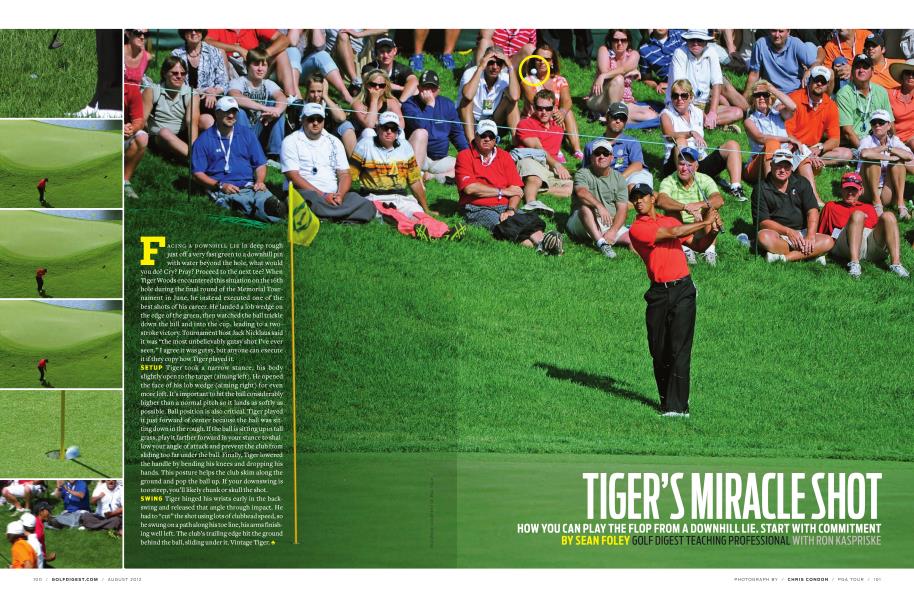 TIGER’S MIRACLE SHOT