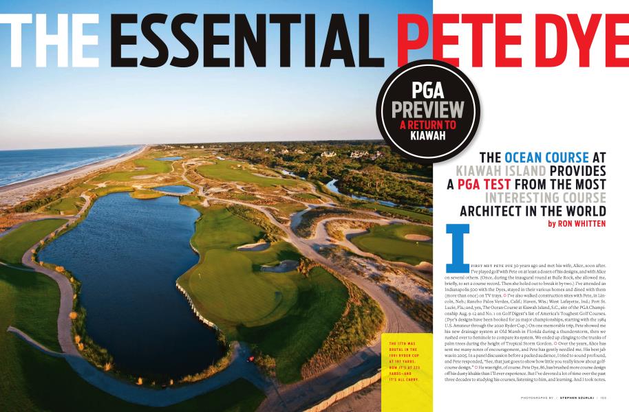 THE ESSENTIAL PETE DYE