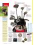 Page: - 68 | Golf Digest