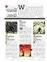 Page: - 89 | Golf Digest