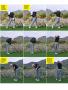 Page: - 32 | Golf Digest