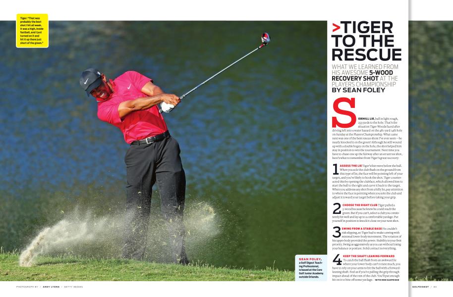 TIGER TO THE RESCUE