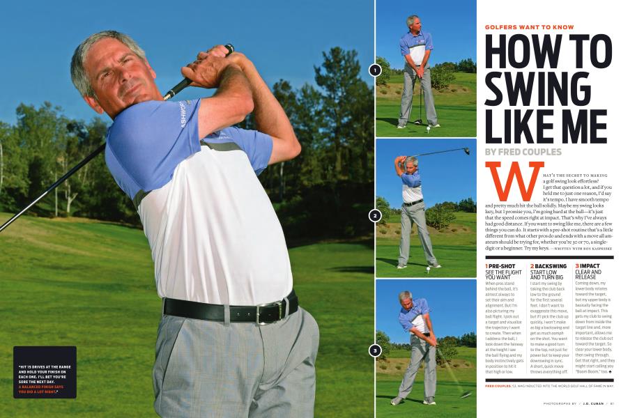 GOLFERS WANT TO KNOW: HOW TO SWING LIKE ME