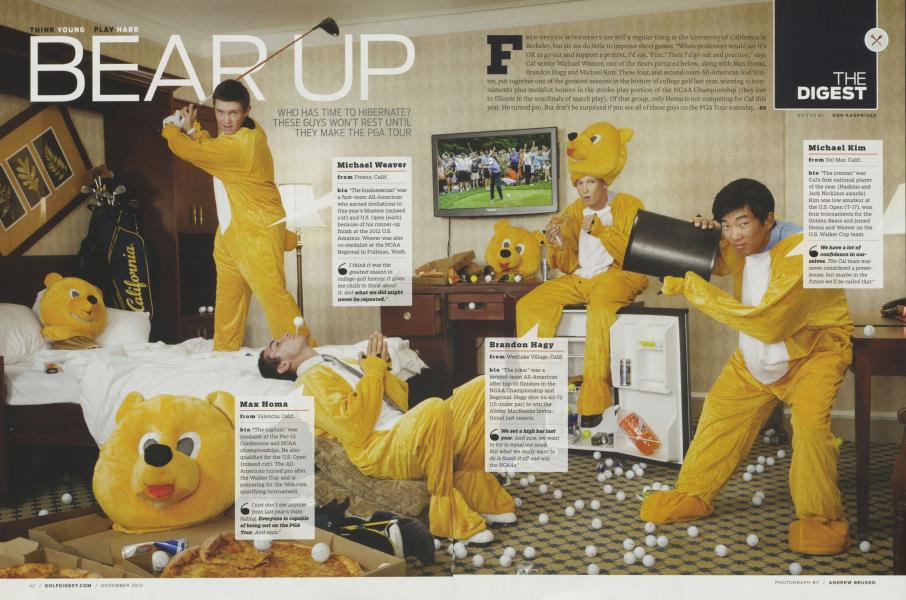 BEAR UP