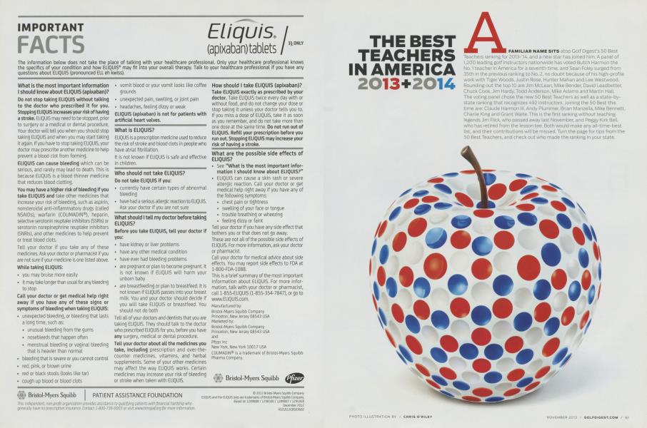 THE BEST TEACHERS IN AMERICA 2013 + 2014