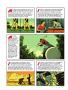 Page: - 89 | Golf Digest